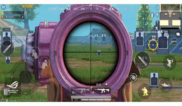 和平精英除草辅助娱乐网