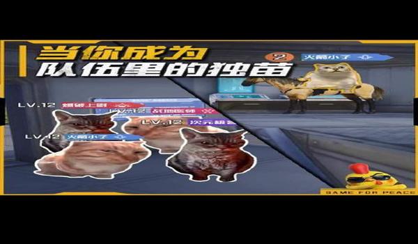 和平精英辅助小墩墩卡密