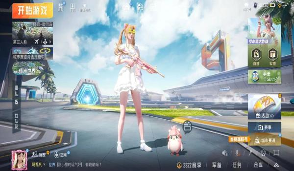 和平精英爱玩辅助的小杨