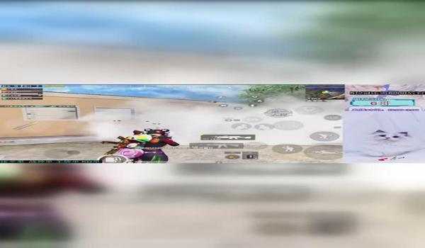 和平精英瓜皮辅助怎么用