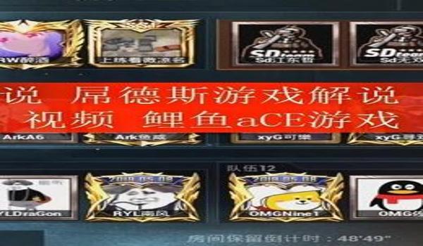 小熙和平精英辅助怎么用