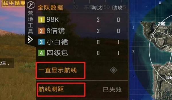 和平精英里面的辅助帮手