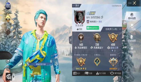 和平精英吃鸡辅助怎么弄