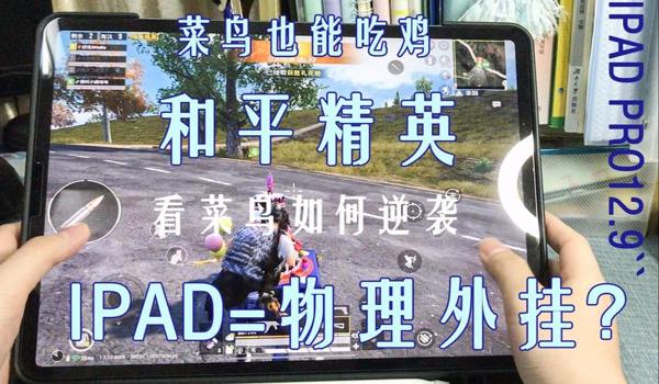 和平精英纯物理辅助怎么用