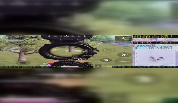 和平精英辅助瓜皮下载