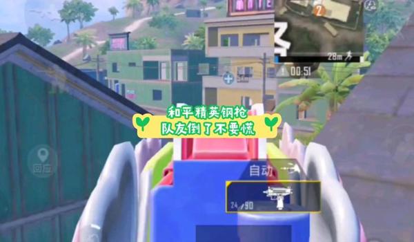 和平精英辅助怎么私信队友