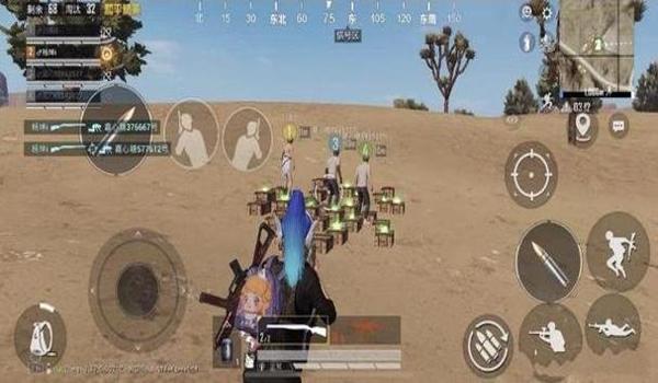 和平精英白龙马辅助怎么开