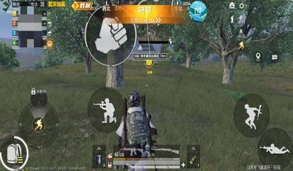 和平精英什么辅助最稳定