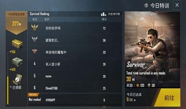 和平精英国际服末日辅助