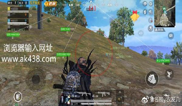 和平精英心动辅助除草鸡