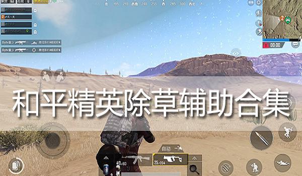 和平精英龙王辅助官方网