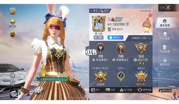 和平精英秒蹲辅助软件