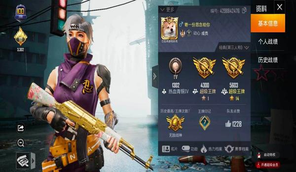 和平精英战神辅助v16