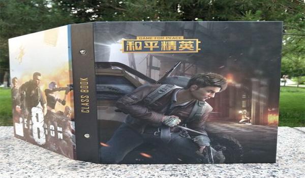 和平精英辅助器子龙直装