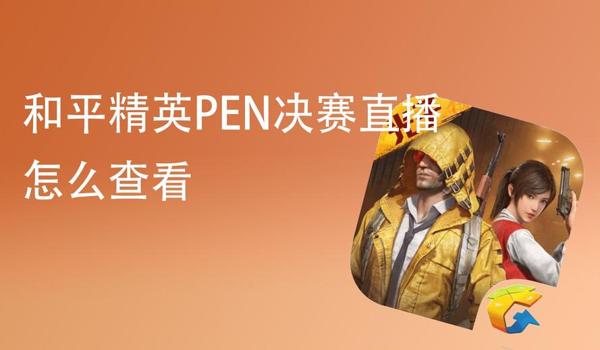 和平精英辅助器直播中