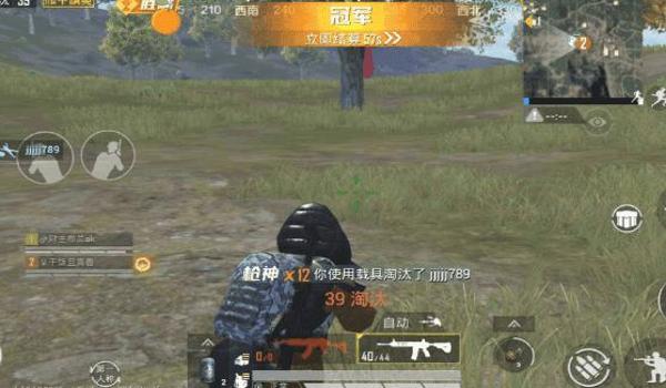 和平精英鸡腿辅助稳定吗