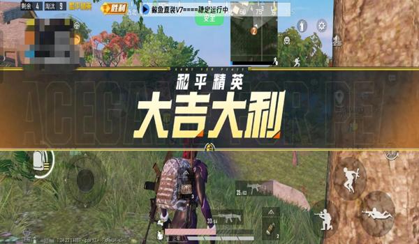 和平精英最稳定辅助软件