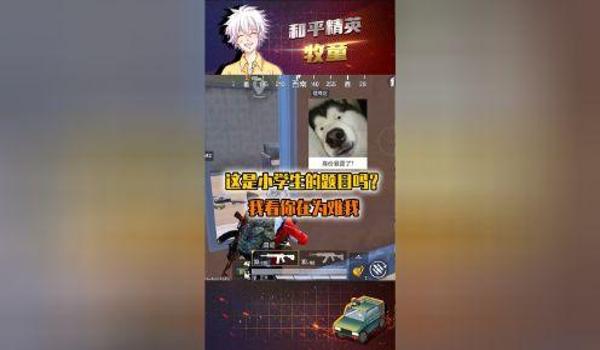 和平精英牧童辅助工具下载