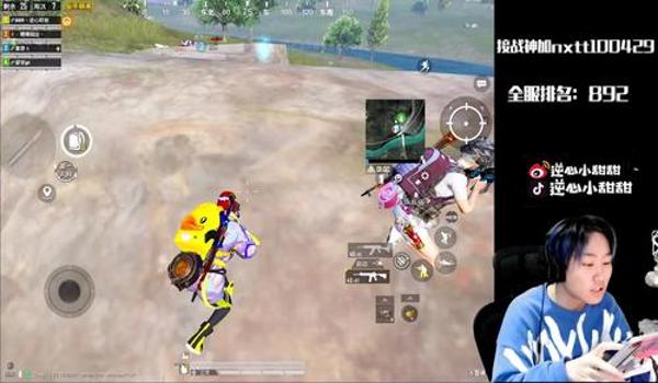 和平精英巅峰赛队伍辅助