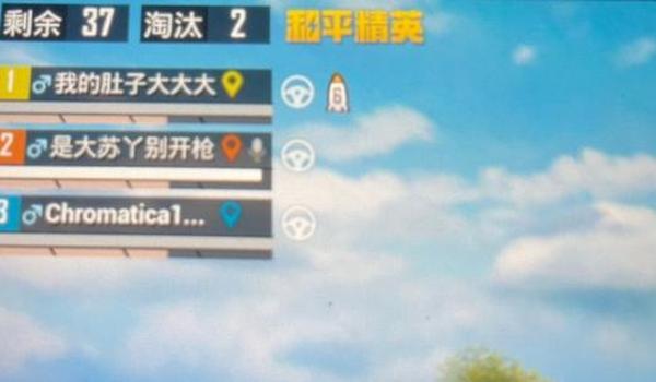 和平精英辅助网名带名字