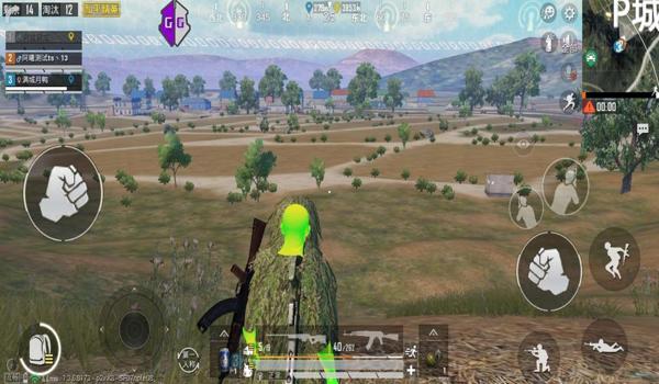 呻罚和平精英辅助破解版