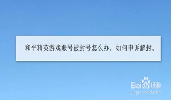 以前被和平精英封的辅助