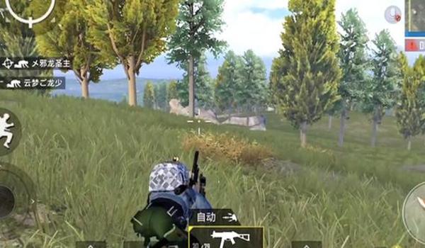 和平精英辅助逆行者最新