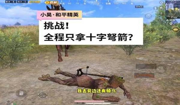 和平精英玩弩辅助怎么样