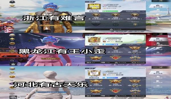 和平精英有用辅助器的吗