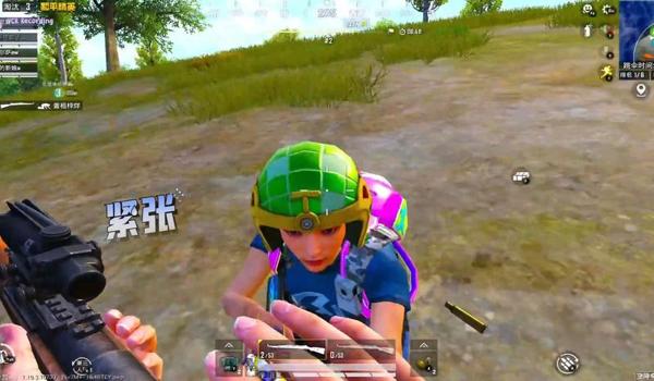 和平精英毒药辅助官网