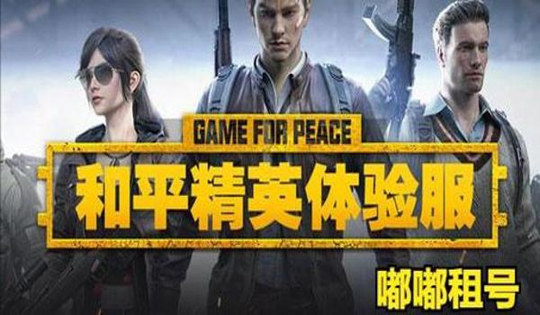 和平精英辅助卡盟网低价