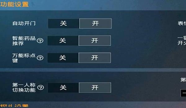 和平精英应打开的辅助功能