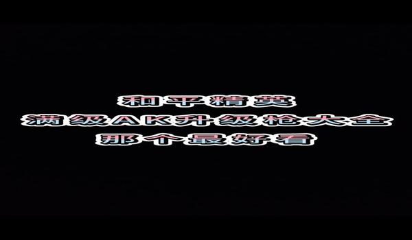 和平精英里面的辅助在哪里